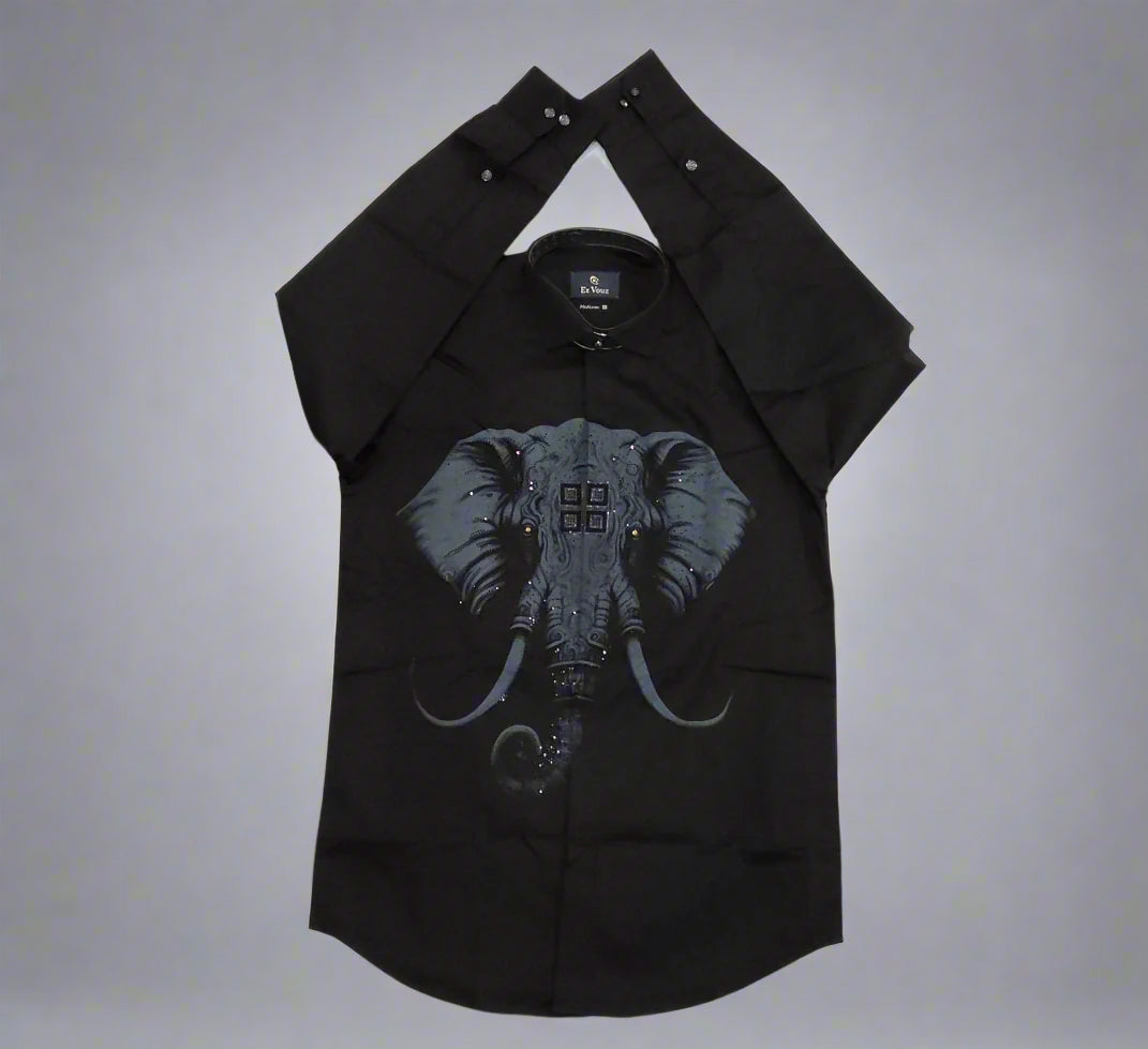 Full sleeve print shirt